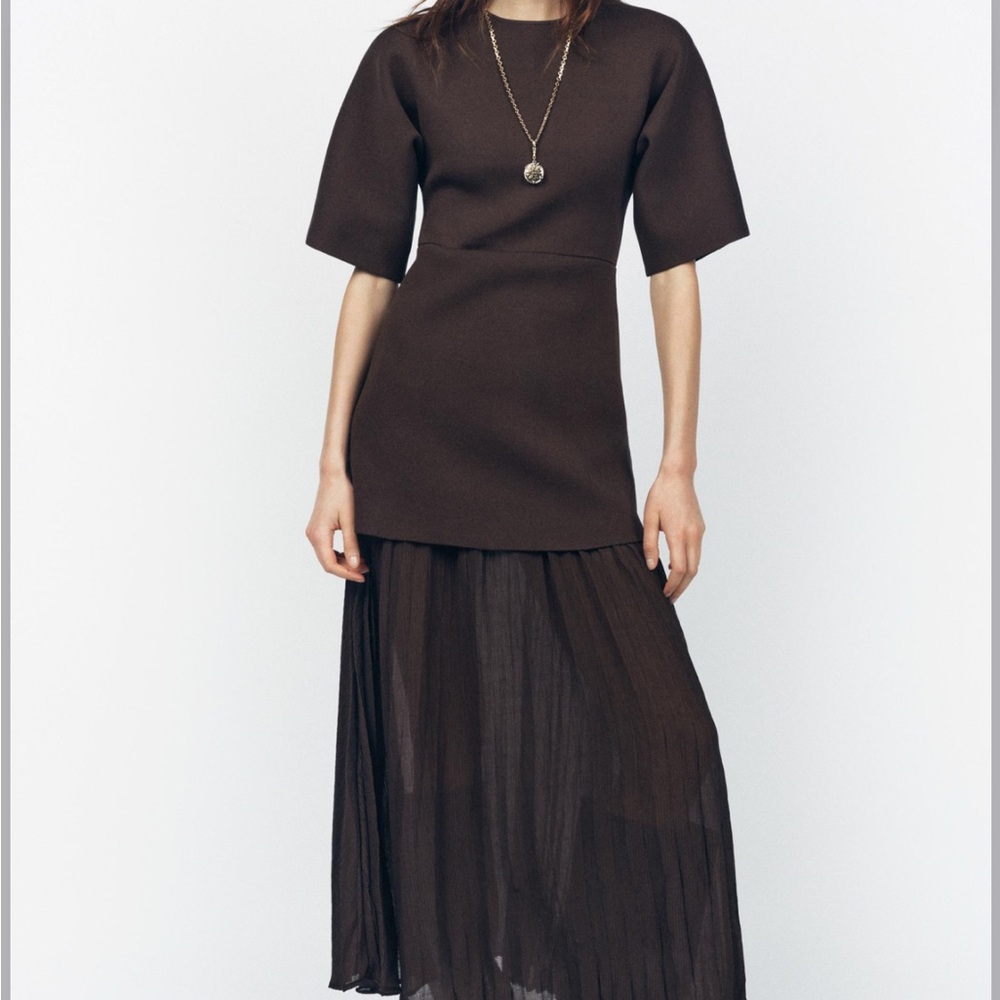 Zara Brown Pleated Combo Dress
